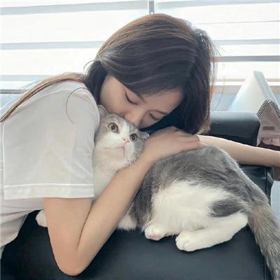 归宅部活动记录 在线观看